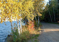 camp road along water