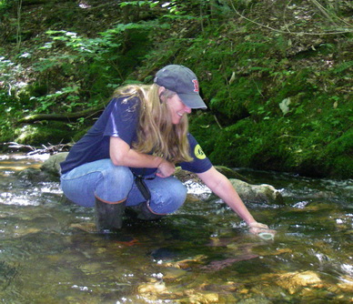 Volunteer collecting water sample in a stream.