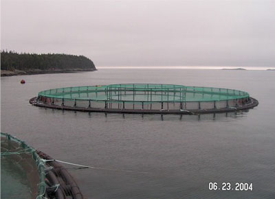 picture of a net pen aquaculture facility