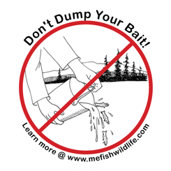 Prevent illegal introductions - don't dump your bait!