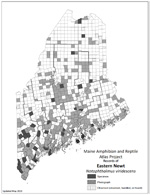 Eastern Newt distribution map (PDF)