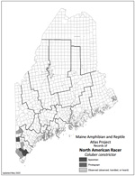 North American Racer distribution map (PDF)