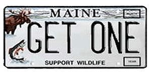Sample sportsman plate